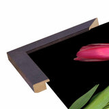 Tulips #3-SUSBAR98750 Print 24"x32" by Susan S. Barmon