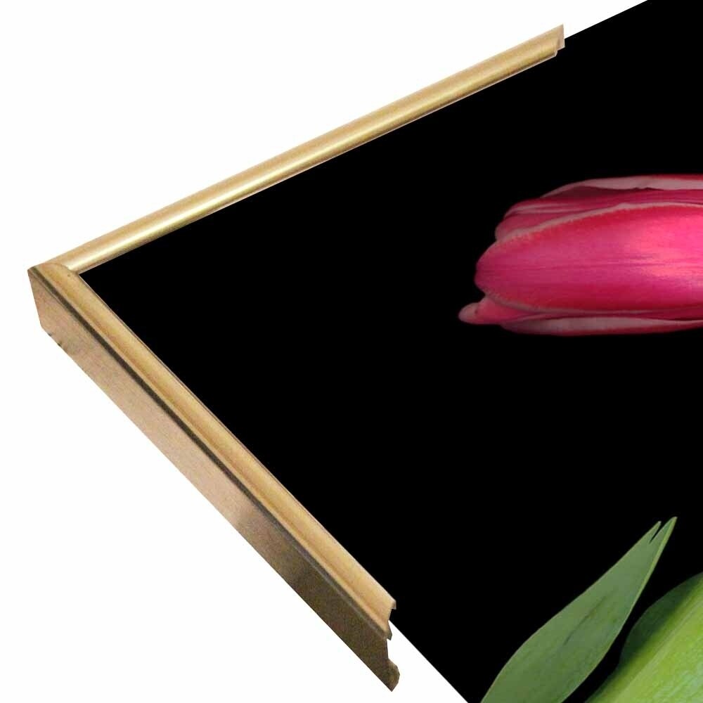 Tulips #3-SUSBAR98750 Print 24"x32" by Susan S. Barmon