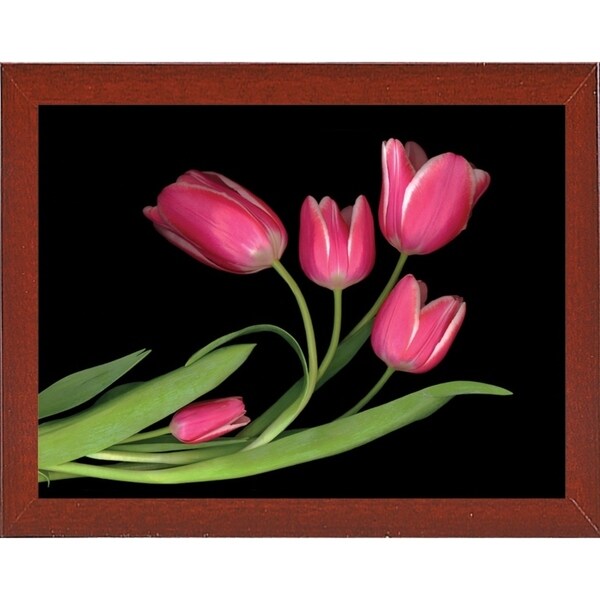 Tulips #3-SUSBAR98750 Print 24"x32" by Susan S. Barmon