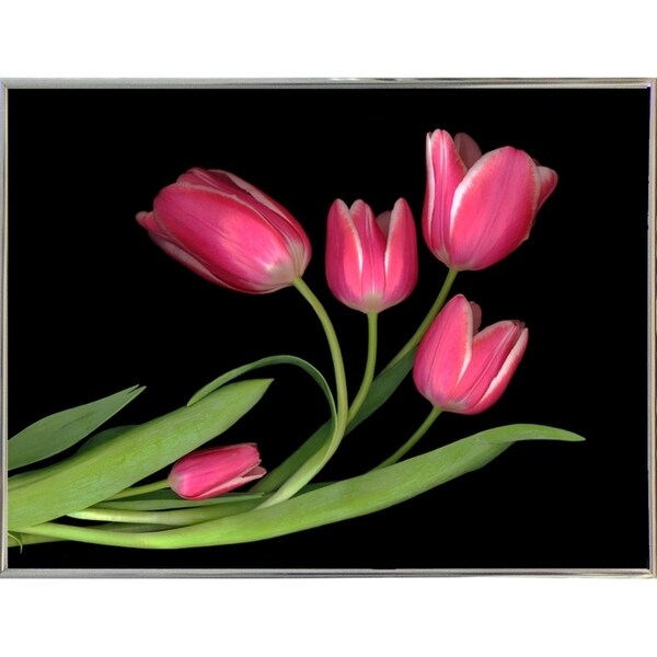 Tulips #3-SUSBAR98750 Print 24"x32" by Susan S. Barmon