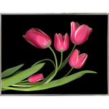 Tulips #3-SUSBAR98750 Print 24"x32" by Susan S. Barmon