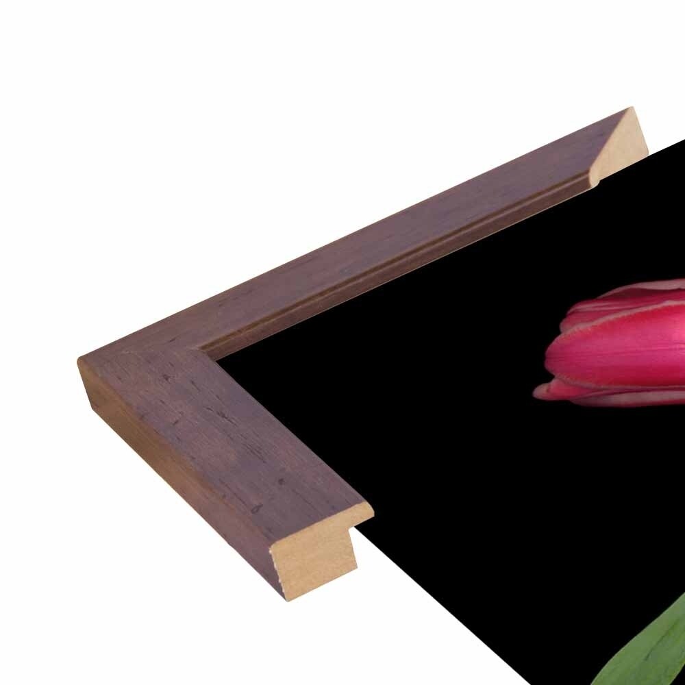 Tulips #3-SUSBAR98750 Print 24"x32" by Susan S. Barmon