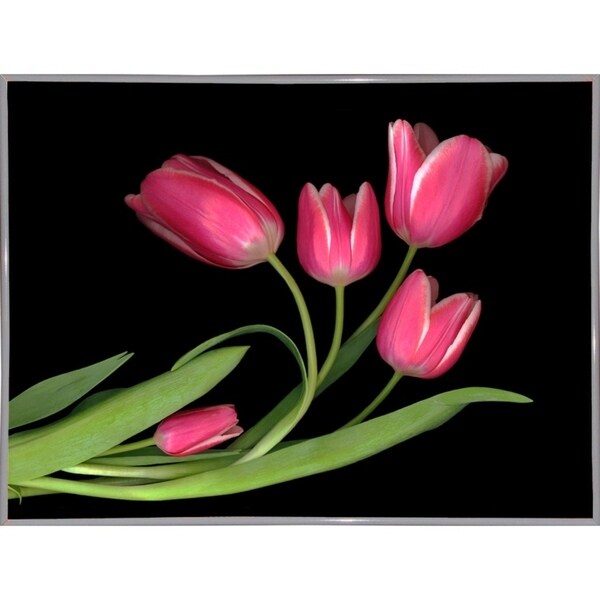 Tulips #3-SUSBAR98750 Print 24"x32" by Susan S. Barmon