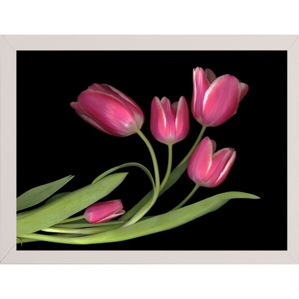 Tulips #3-SUSBAR98750 Print 24"x32" by Susan S. Barmon