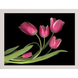 Tulips #3-SUSBAR98750 Print 24"x32" by Susan S. Barmon