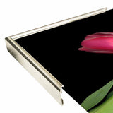 Tulips #3-SUSBAR98750 Print 24"x32" by Susan S. Barmon