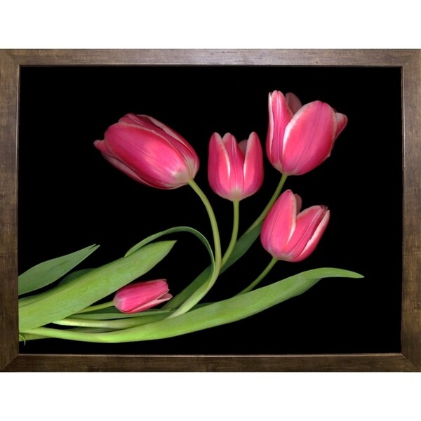 Tulips #3-SUSBAR98750 Print 24"x32" by Susan S. Barmon