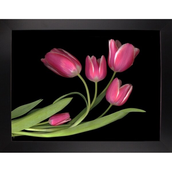 Tulips #3-SUSBAR98750 Print 24"x32" by Susan S. Barmon