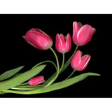 Tulips #3-SUSBAR98750 Print 24"x32" by Susan S. Barmon