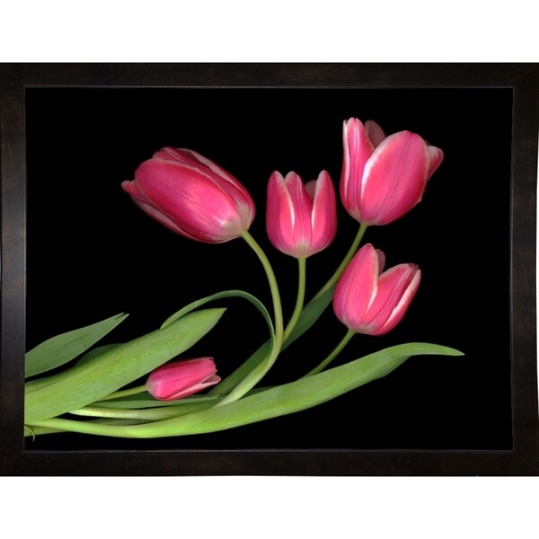 Tulips #3-SUSBAR98750 Print 24"x32" by Susan S. Barmon