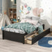 Twin Bed with 2 Drawers, Solid Wood, No Box Spring Needed