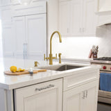 Two-Handles Kitchen Faucet with Side Spray