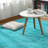 Ultra Soft Fluffy Rug Indoor Area Carpet, 47 x 31 in, Blue - 31"X47"