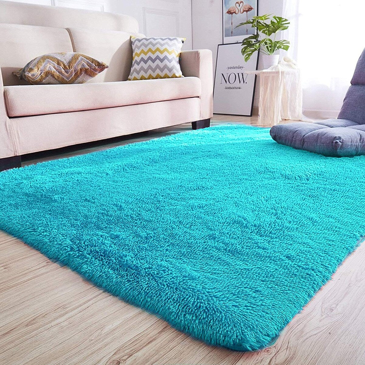 Ultra Soft Fluffy Rug Indoor Area Carpet, 47 x 31 in, Blue - 31"X47"