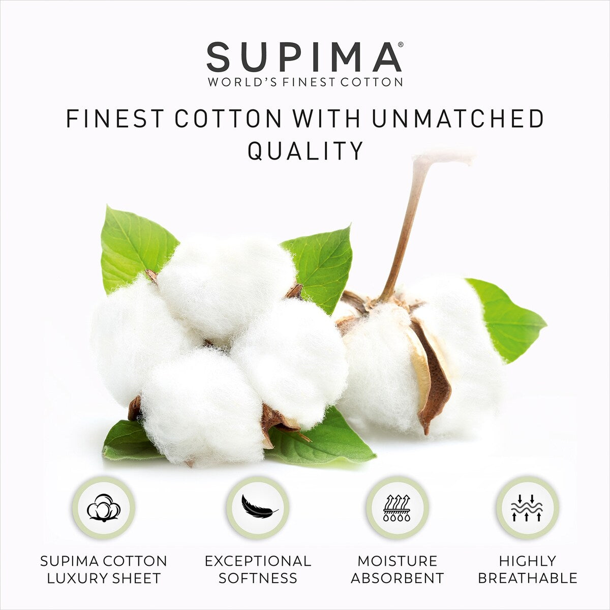 Ultra-Soft & Silky 800TC Premium-Quality Supima Cotton Sheet Set