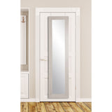 Urban Rustic Farmhouse Over the Door Mirror - 21.5 x 71