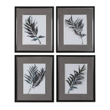 Uttermost Eucalyptus Leaves Framed Prints (Set of 4) - Grey