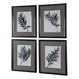 Uttermost Eucalyptus Leaves Framed Prints (Set of 4) - Grey
