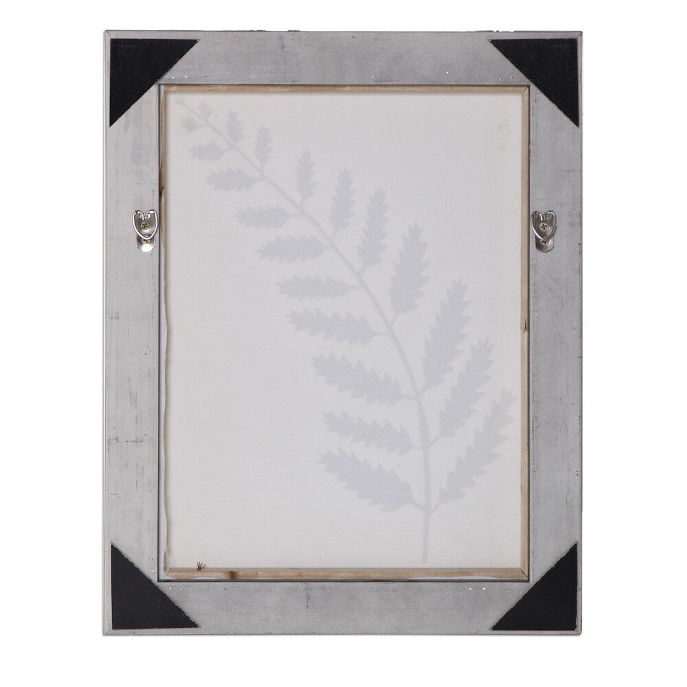Uttermost Forest Ferns Gold Hand Painted Arts (Set of 4) - White