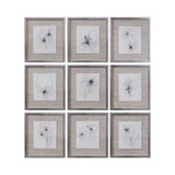 Uttermost Neutral Floral Gestures Prints (Set of 9) - Brown