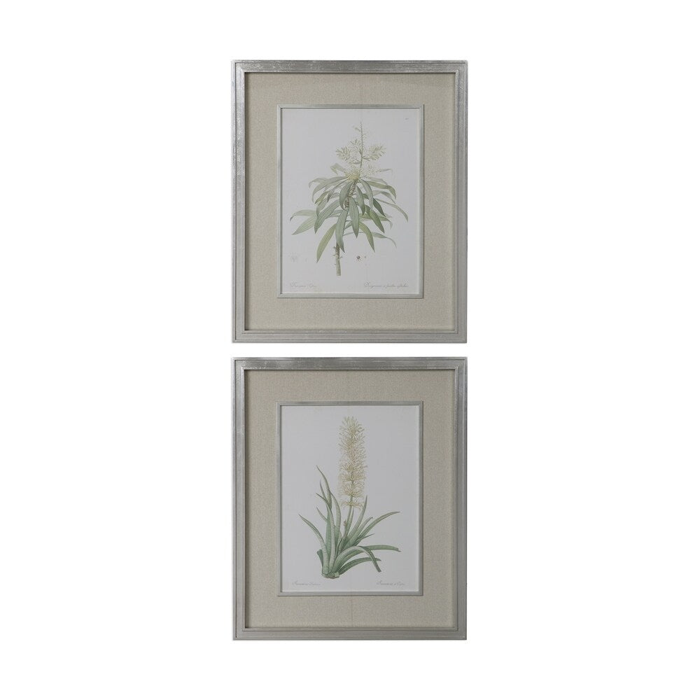 Uttermost Plant Study Framed Prints (Set of 2) - Green