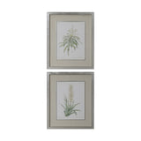 Uttermost Plant Study Framed Prints (Set of 2) - Green