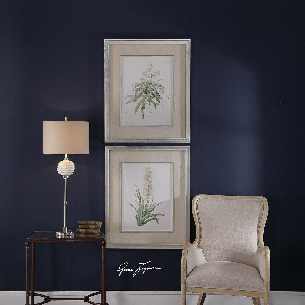 Uttermost Plant Study Framed Prints (Set of 2) - Green