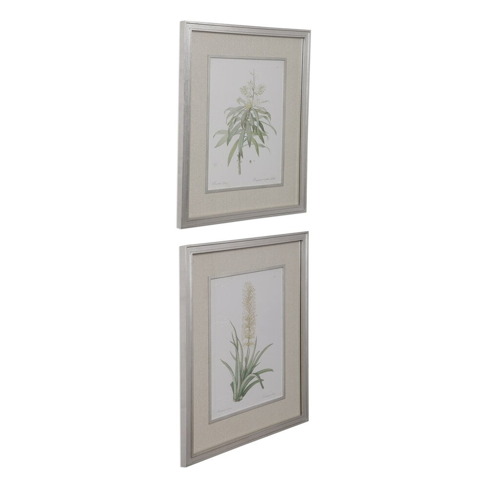 Uttermost Plant Study Framed Prints (Set of 2) - Green