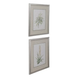 Uttermost Plant Study Framed Prints (Set of 2) - Green