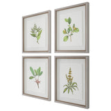 Uttermost Wildflower Study Framed Prints, S/4 - 19 W x 22 H x 1.75 D (inches)