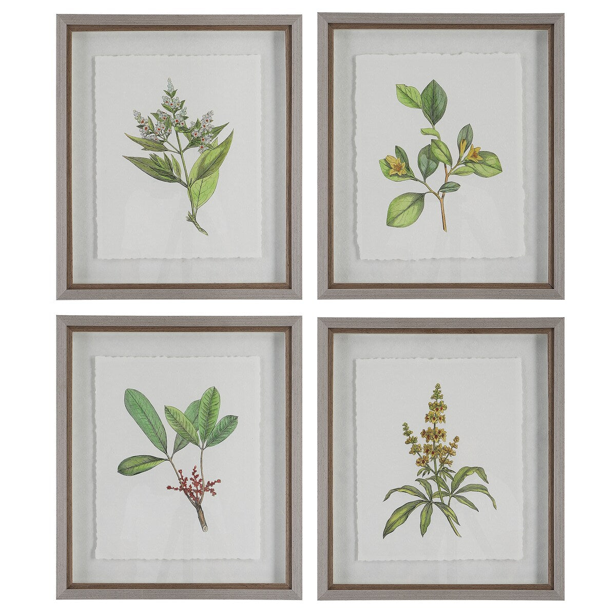 Uttermost Wildflower Study Framed Prints, S/4 - 19 W x 22 H x 1.75 D (inches)
