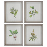 Uttermost Wildflower Study Framed Prints, S/4 - 19 W x 22 H x 1.75 D (inches)