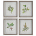 Uttermost Wildflower Study Framed Prints, S/4 - 19 W x 22 H x 1.75 D (inches)