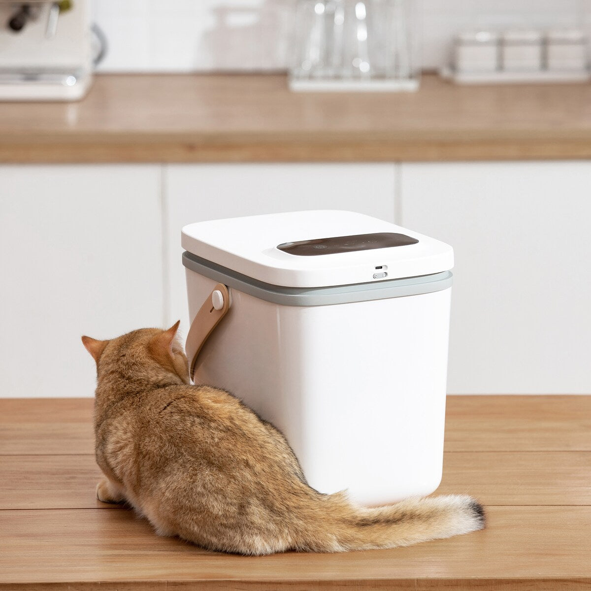 Overstock pet supplies sales