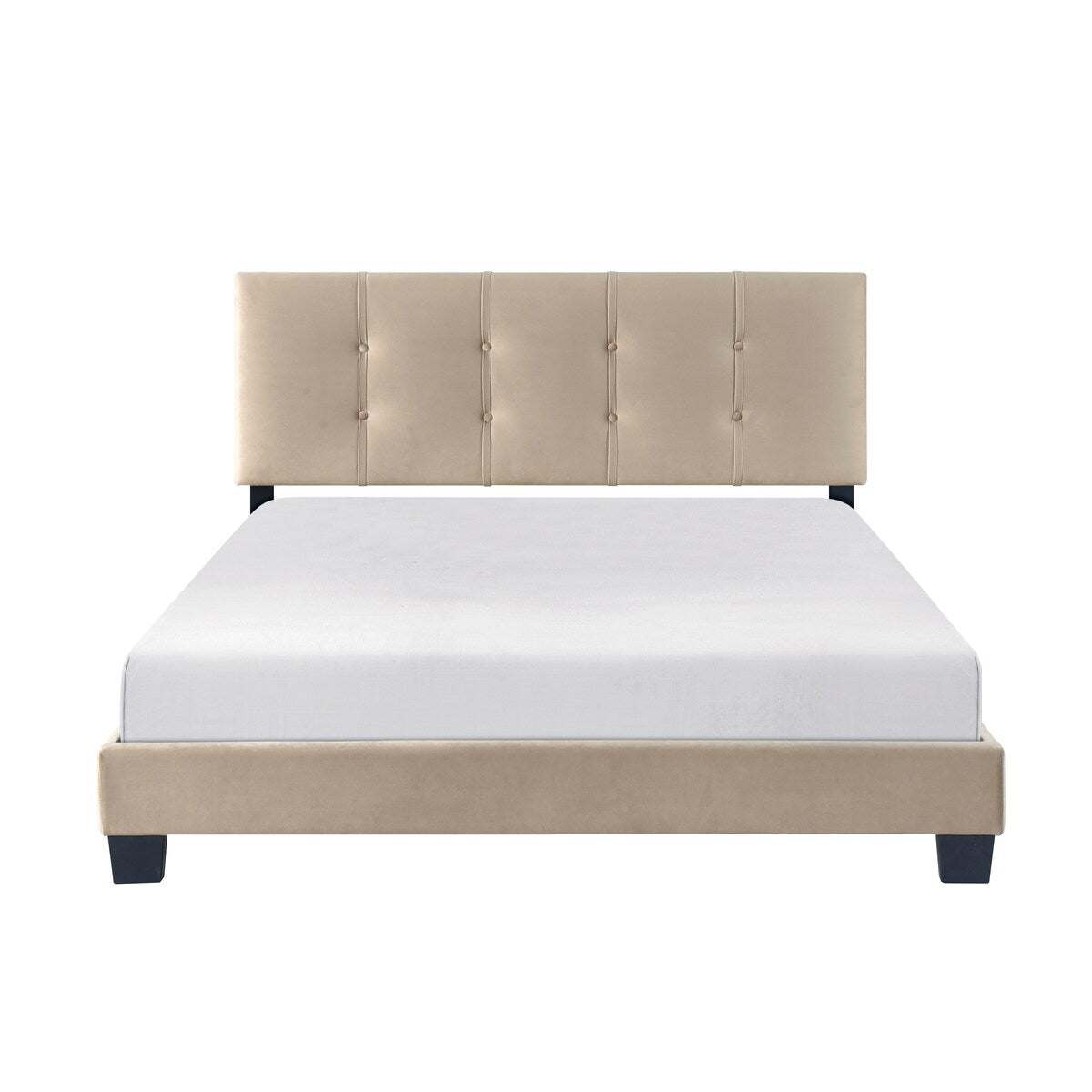Velvet Queen Platform Bed with Adjustable Tufted Headboard