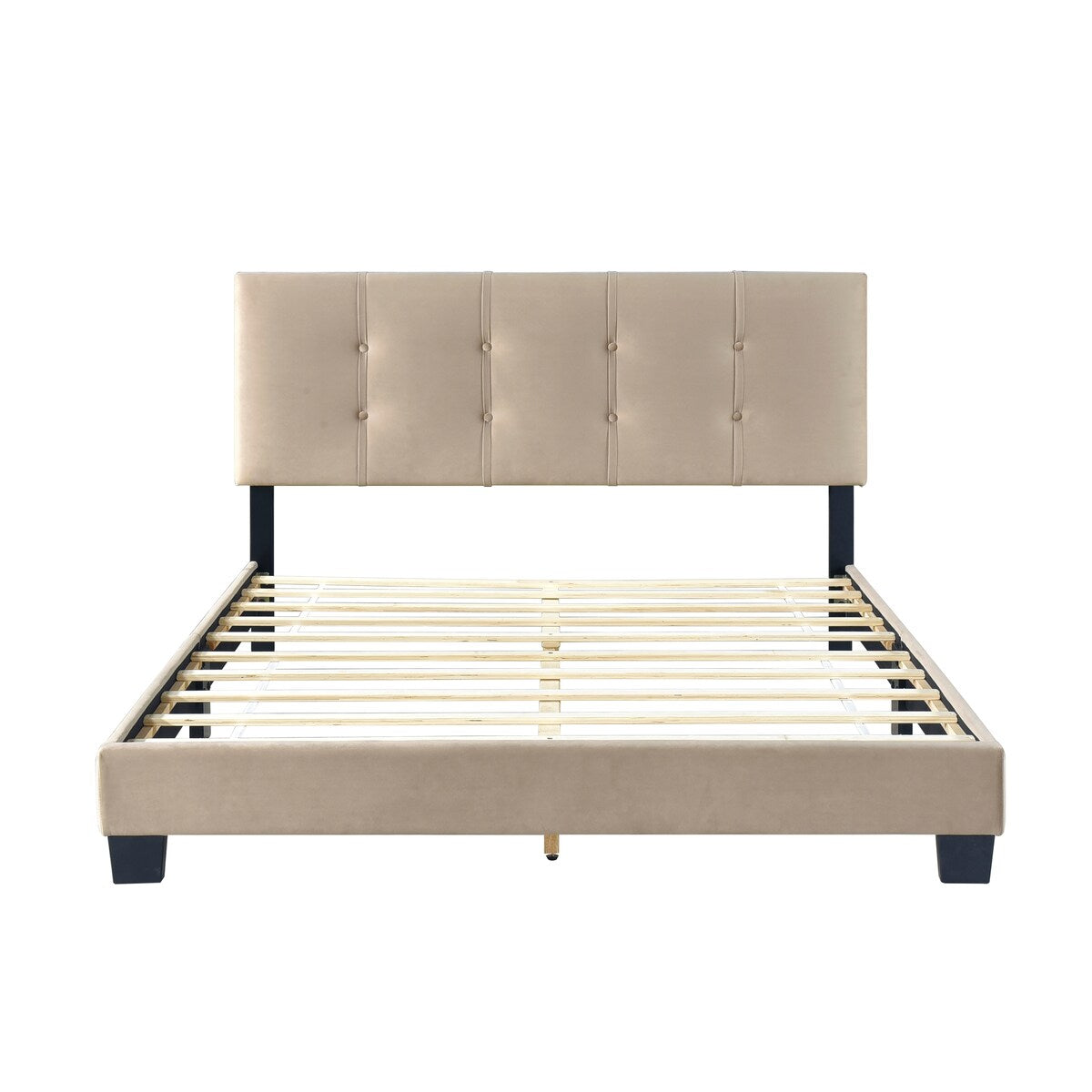 Velvet Queen Platform Bed with Adjustable Tufted Headboard