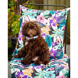 Vera Bradley by Classic Accessories Water-Resistant Accent Pillows, 18 x 18 x 8 Inch, 2 Pack
