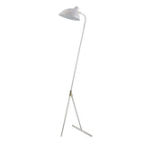 Versanora - Delicata Monopod Floor Lamps - White/Gold - N/A
