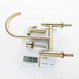Vertical Two Handles Kitchen Faucet Pull-Down Spray in Gold/Black