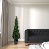 Vickerman 5' Green Cedar Everyday Tree