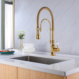 3-Way Brushed Gold 360 Rotary Kitchen Spring-neck Faucet with Pull Down Sprayer