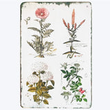 Vintage Floral Botanical Metal Tin Signs House Signs 8" X 12"
