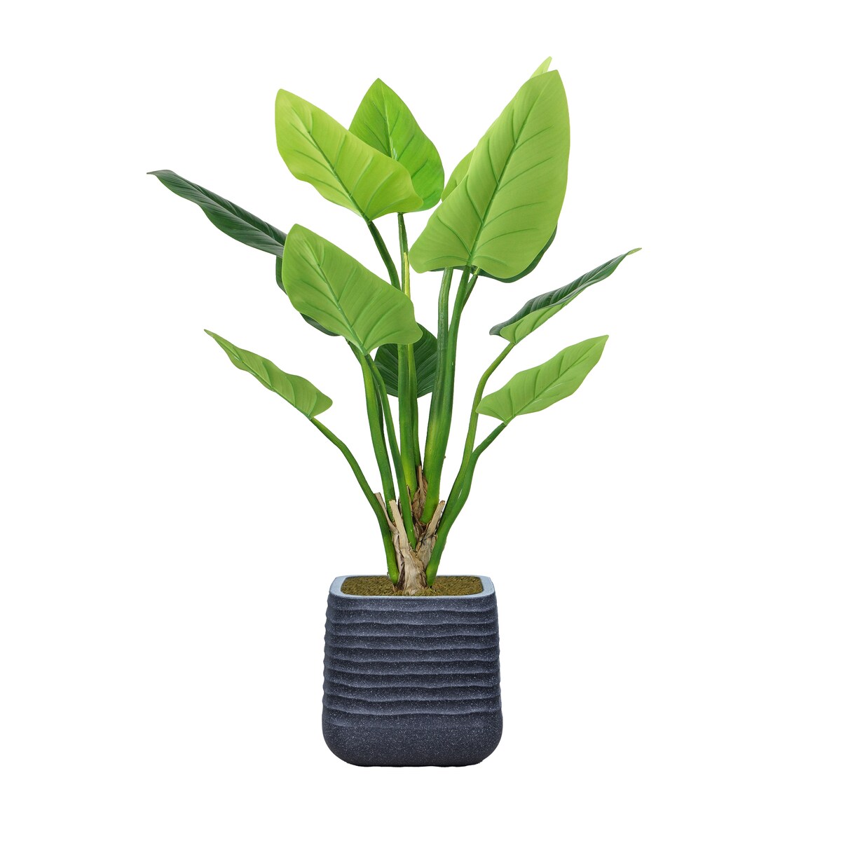 Vintage Home 61 In Philodendron Erubescens Artificial Faux Plant - Green