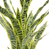 Vintage Home Artificial Faux Real Touch 4.84 Ft Agave In Planter - Green - 58" Tall
