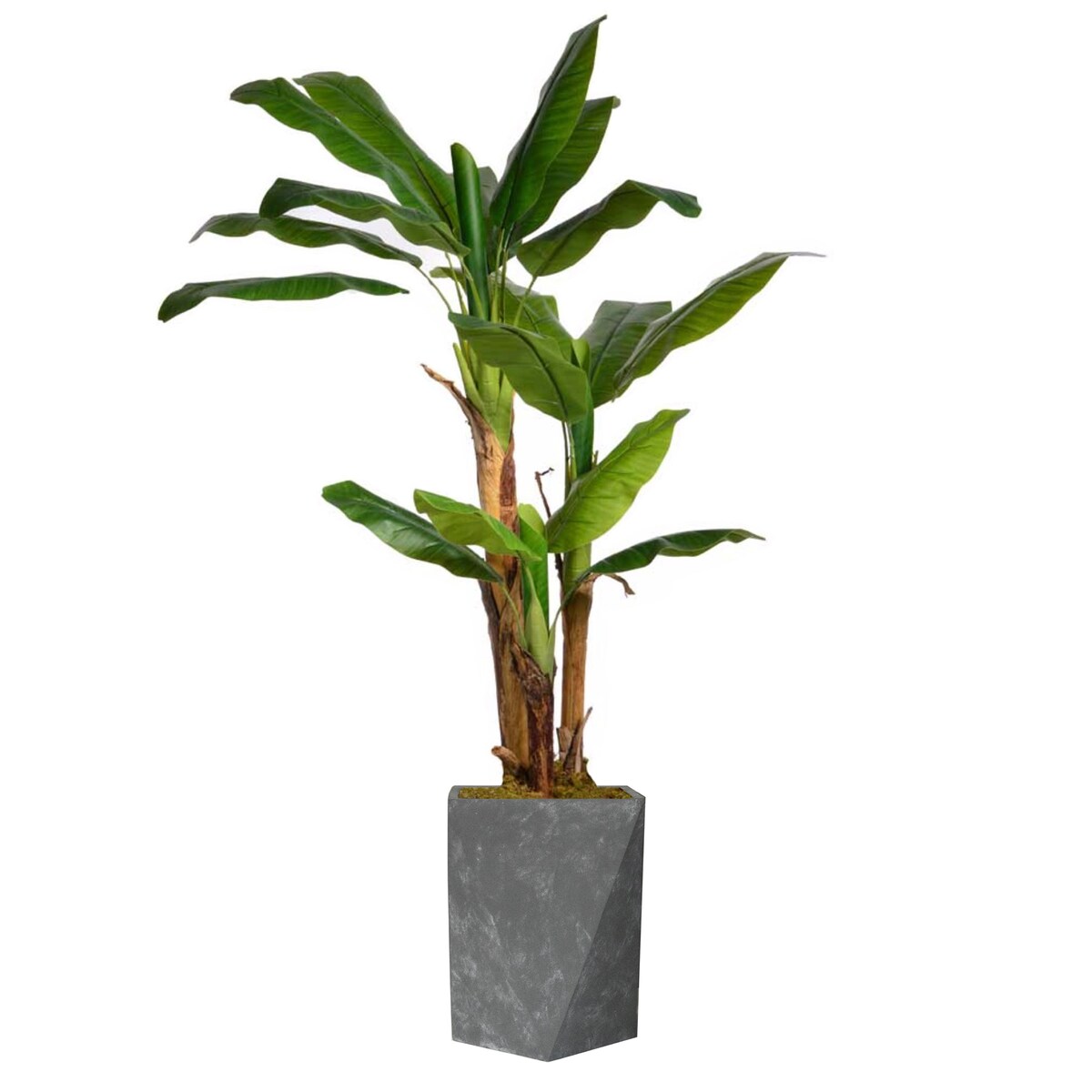 Vintage Home Artificial Faux Real Touch 5.84 Ft Banana Tree In Planter - Green - 70" Tall