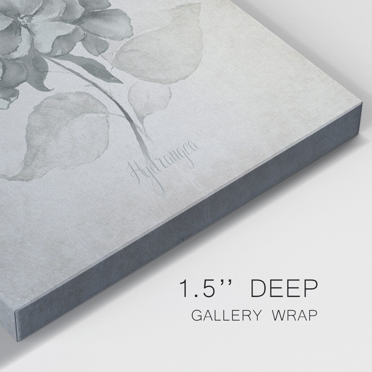Vintage Hydrangea-Gallery Wrapped Canvas