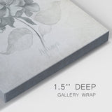 Vintage Hydrangea-Gallery Wrapped Canvas