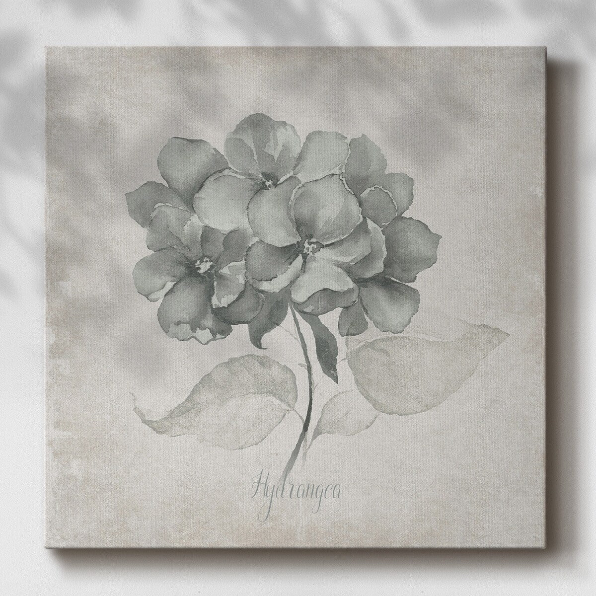 Vintage Hydrangea-Gallery Wrapped Canvas