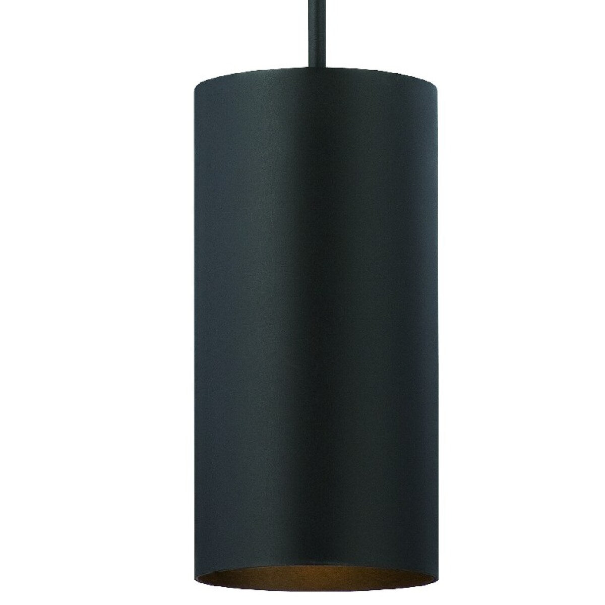Volume Lighting 1-Light Black Outdoor Cylinder Pendant - N/A