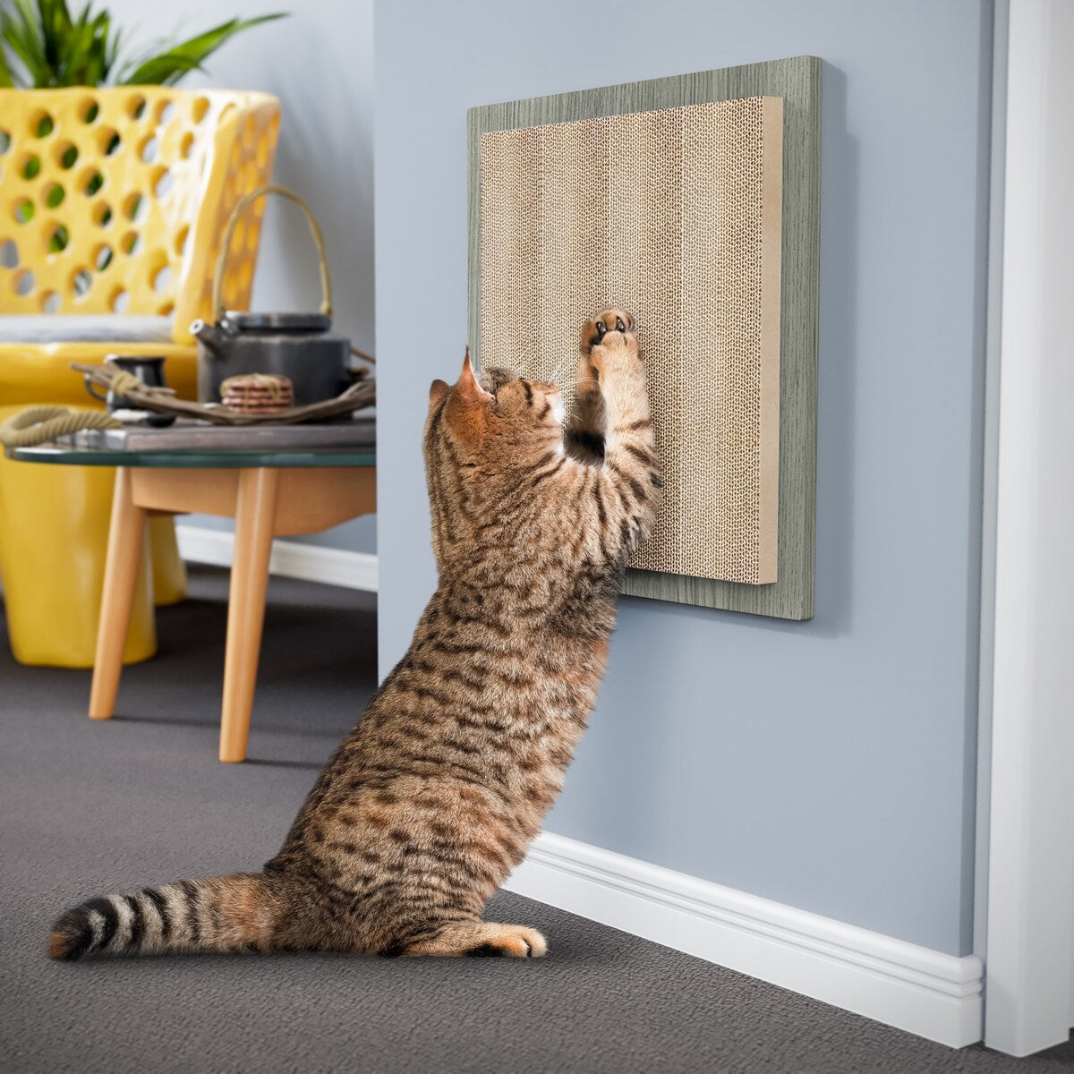 WAY BASICS Premium Square Wall Mount Eco-Friendly Scratch Pad Cat Scratcher - N/A